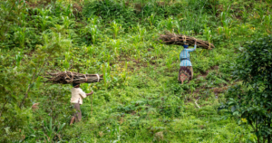 Rich-Countries’-Climate-Policies-Are-Colonialism-in-Green