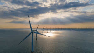 The Energy Transition Paradox