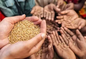 Food Security Under Pressure: How Global Shocks Are Reshaping World Food Systems 1 Food Security Under Pressure